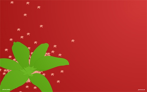 木材都可以加工什么东西，木材加工成什么东西既简单又容易卖出去